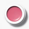 SUSAN BIJL All Over Colour - Dianthus< Make-Up