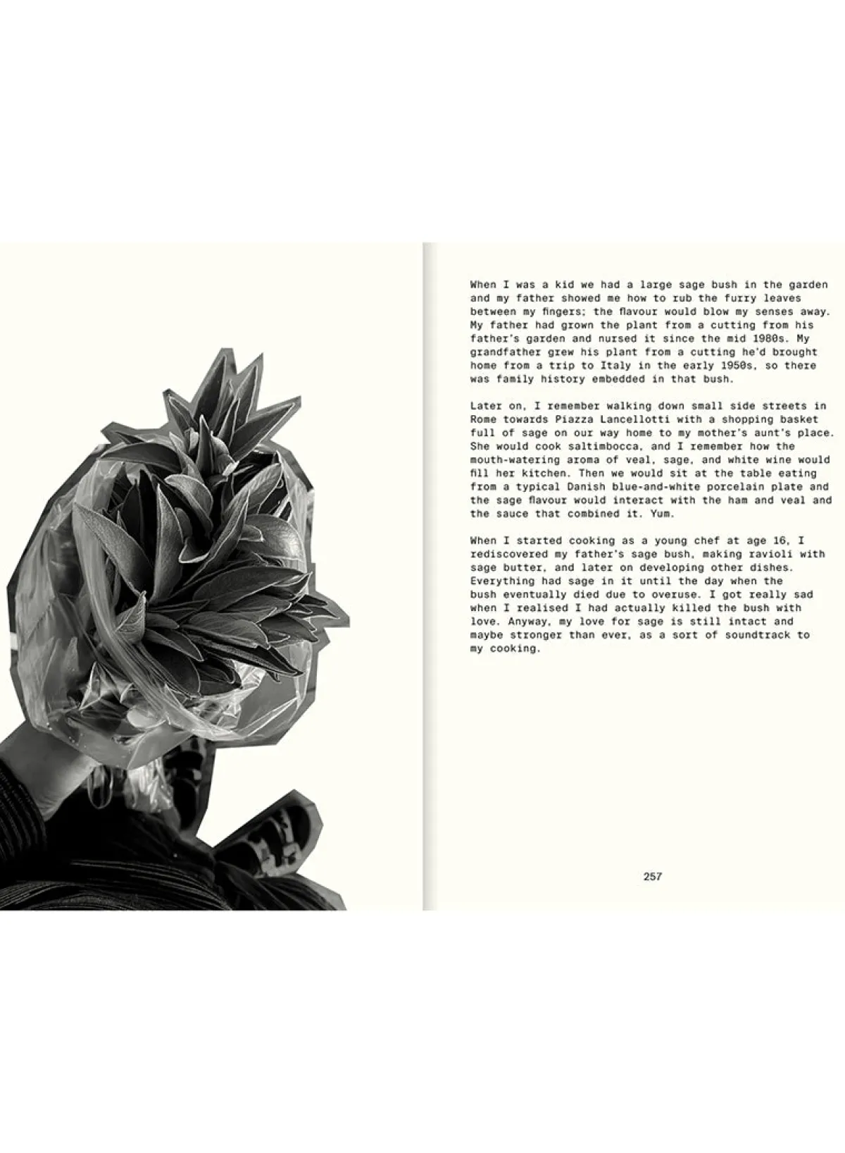 all_the_stuff_we_cooked_3.webp SUSAN BIJL All The Stuff We Cooked< Tijdschriften & Boeken