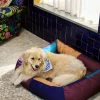 SUSAN BIJL Dogs Bed, LARGE< Honden (En Katten)