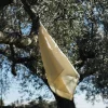 SUSAN BIJL Hand Towel In Bone White, Light< Textiel