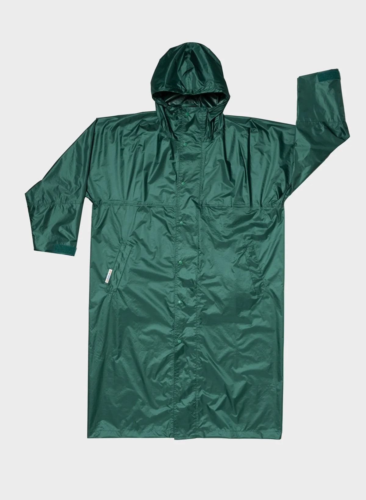 pine_0.webp SUSAN BIJL < The New Raincoat