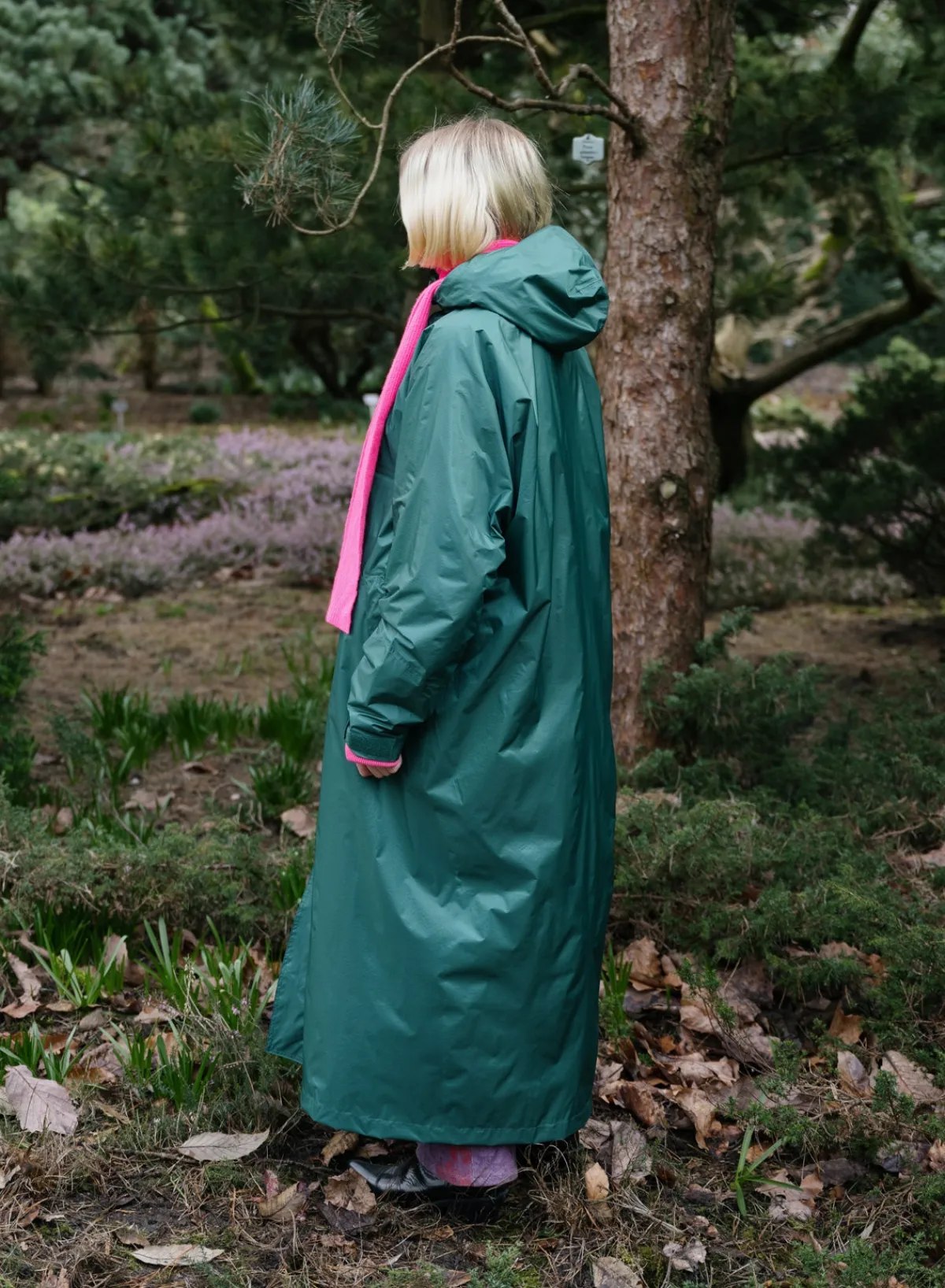 pine_2.webp SUSAN BIJL < The New Raincoat